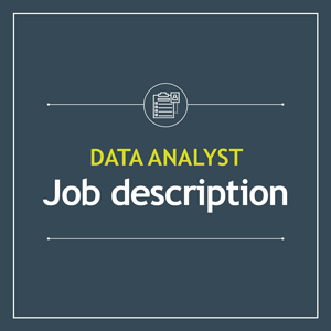 Data Analyst job description