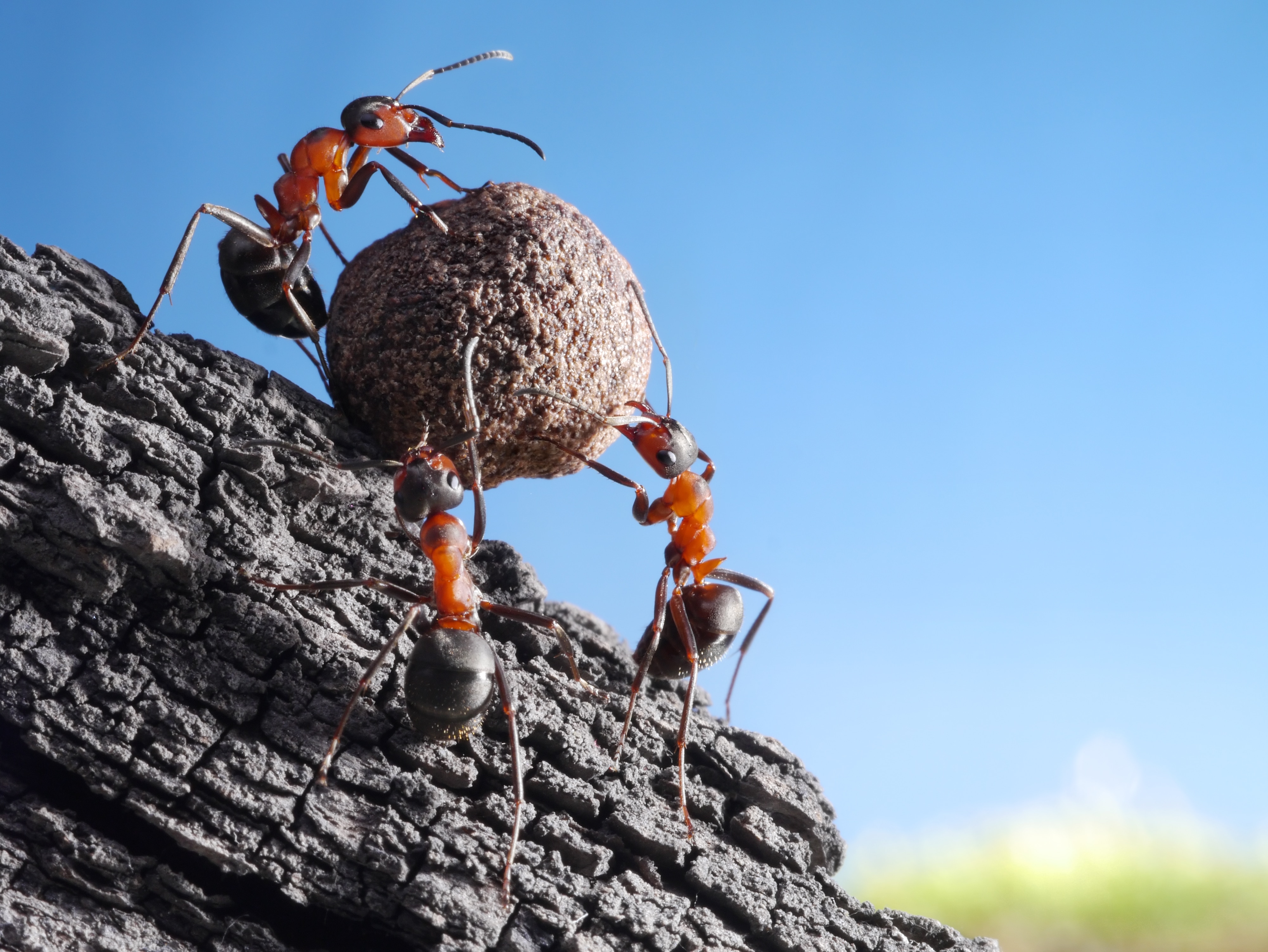 How to Answer Interview Questions About Teamwork NIJobs