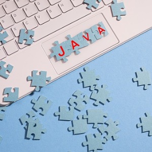 Software Developer Java Salary